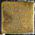 Stolperstein für Hermann Josef Lippmann (Brabanter Straße 18)