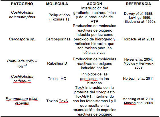 Archivo:Toxinas Selectivas de Hospedero (HST) en Hongos Fitopatógenos.tiff