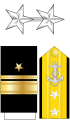 Rear Admiral (Upper Half), Contraamiral