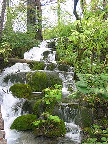 Waterfall at Plitvice Lakes, Croatia.jpg