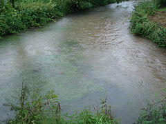 Zusammenfluss von Bachhaupter Laber (vorne links) und Wissinger Laber (vorne rechts)