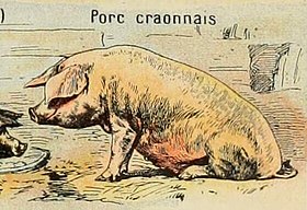 Illustration d'Adolphe Millot.