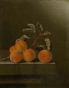 Cinq Abricots, 1704 Mauritshuis.