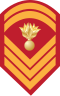 E-8 insignia