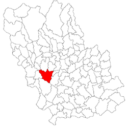 Băicoi – Mappa