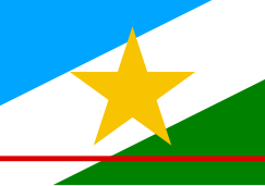 Bandeira do estado de Roraima