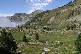 La deuxième partie du lac, au Sud-Ouest de la partie principale, ressemble à un marais en été.