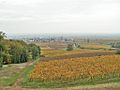 Herbstlicher Blick auf Rhodt von der Villa Ludwigshöhe