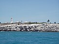 Booby Island vanaf de zee