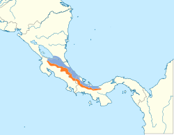 Distribución geográfica del paragüero cuellicalvo.