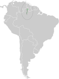 Distribución geográfica del hormiguero del Branco.