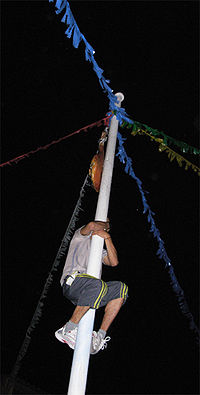 Montée au mât de cocagn, fêtes de San Pedro de Tudela (juillet 2006)