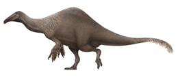 A Deinocheirus rekonstrukciója