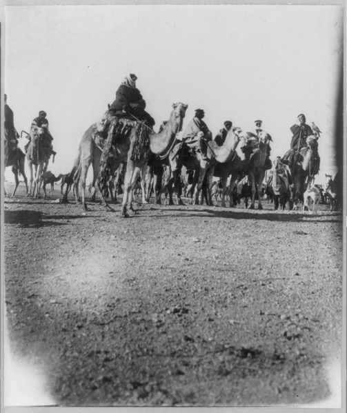 File:Desert caravan LCCN2001705578.tif