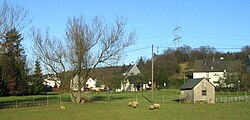 Skyline of Erbach