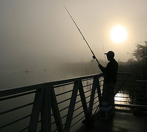 English: Fisherman at Lake Merced (California,...