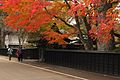 2016年11月12日 (土) 06:36時点における版のサムネイル