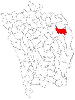 Kommunens beliggenhed i distriktet Vaslui