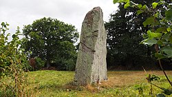 Pierre Longue von Iffendic