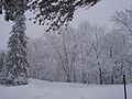 Scène d'hiver au détour d'un chemin de promenade au Jardin zoologique du Québec