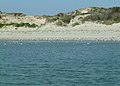 Les dunes de sable caractéristiques du littoral de la baie de Canche.