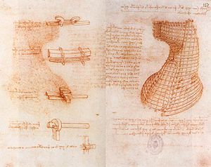 Leonardo Codex