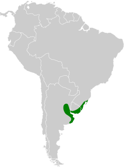 Distribución geográfica de la pajonalera piquicurva.