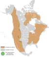 Distribution des fossiles de Parasaurolophus