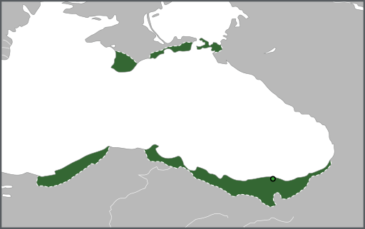 Map of a Empire of Trebizond shortly after the foundation of the Latin Empire in 1204, featuring the short-lived conquests in western Anatolia by David Komnenos (later reconquered by the Empire of Nicaea) in addition to Sinope (later conquered by the Sultanate of Rum).