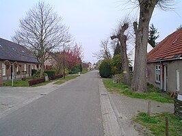 De straat Muggenhol in 2008.