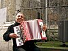 A musette accordion player