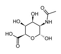 N-Acetyltalosaminuronic acid.png