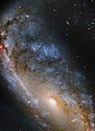 Eng Foto vum Hubble-Weltraumteleskop mat Bléck op d'Meathook Galaxy (NGC 2442) konzentréiert sech op déi kompakt asymmetresch Spiraläem an och op déi zentral Regiounen.