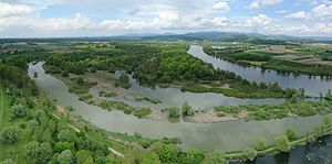 30. Platz: ArminW mit Im Vordergrund das Naturschutzgebiet „Donaualtwasser Staatshaufen“ nahe der Gemeinde Thundorf, Landkreis Deggendorf; im Hintergrund der Bayerische Wald (Drohnenfoto aus 100 m Höhe)