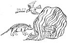 Ilustração da Fábula "O rato, a rã e o minhoto"