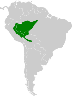 Distribución geográfica del hormiguero gorgiblanco.