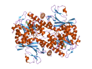 2g97: Crystal Structure of Visfatin/Pre-B Cell Colony Enhancing Factor 1/Nicotinamide Phosphoribosyltransferase In Complex with the Specific Inhibitor FK-866