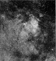Aglomerado do Pato Selvagem e partes da Via Láctea, 1901