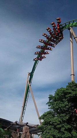 Parrot Coaster