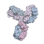 Miniatura para Pembrolizumab