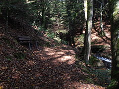 Pont et sentier du Club Vosgien