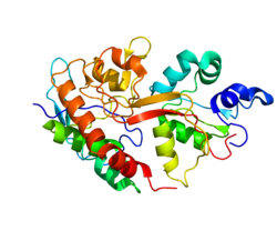 Протеин GRIN2B PDB 1S11.png