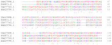 Gambar mini seharga Bioinformatika