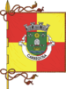 Flag of Carregosa