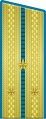 Parade uniform airborne forces, air force & aviation of the Soviet Air Defence Forces (1955-1994 & 2010-)