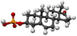Сульфат де дехидроэпиандростерона3D.png