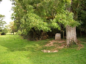 At the edge of a field, there is a hollow in the grass, filled with stones; above it there is a tree and a marker-stone.