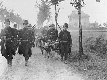 Carabinieri belgieni în Bătălia Frontierelor.