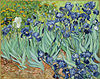 VanGoghIrises2.jpg