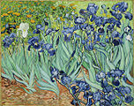 Irises 1889 J. Paul Getty Museum, Los Angeles, California (F608)